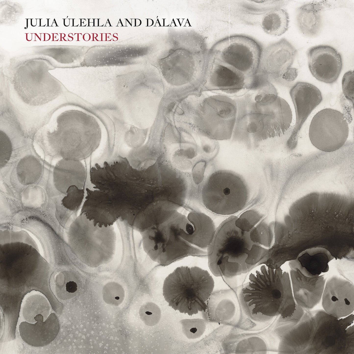 Julia Ulehla & Dalava - Understories [VINYL]