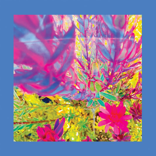 The Reds Pinks and Purples - The Past is a Garden… [VINYL]