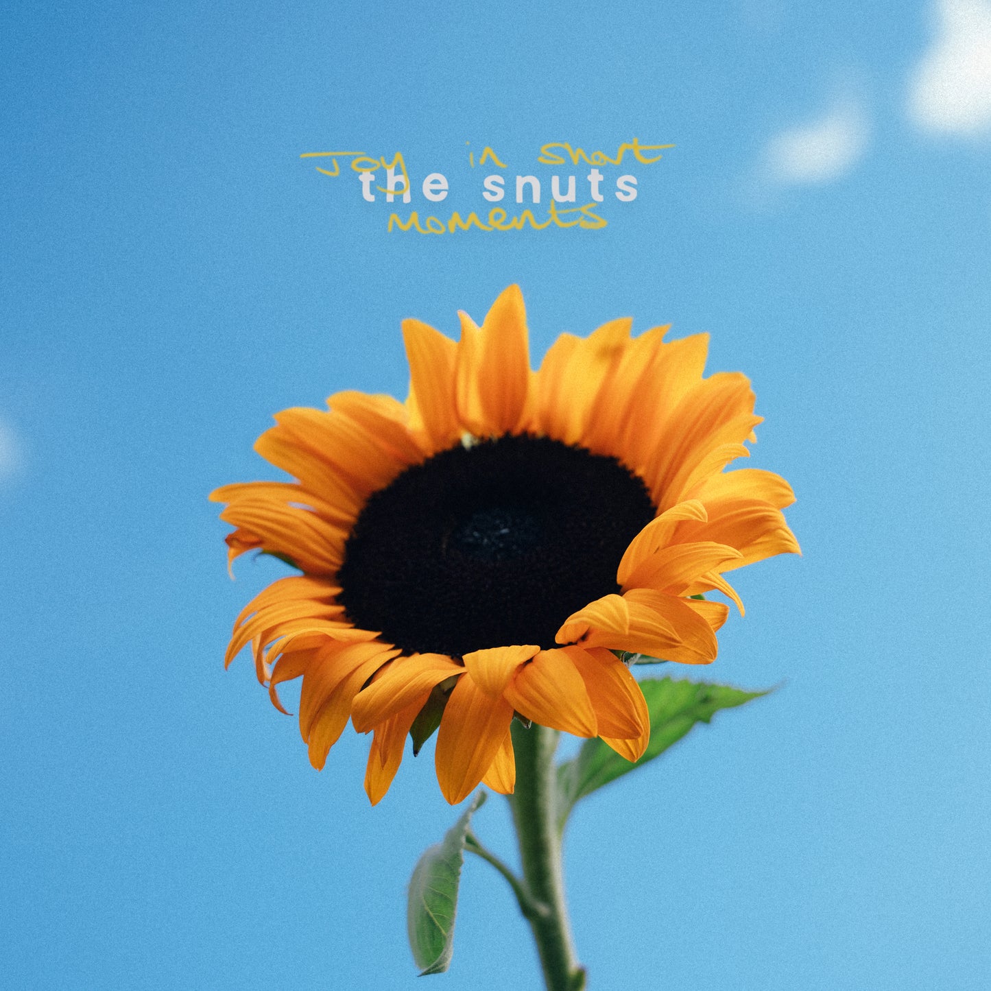 The Snuts  - Joy In Short Moments (Marble LP) [VINYL]