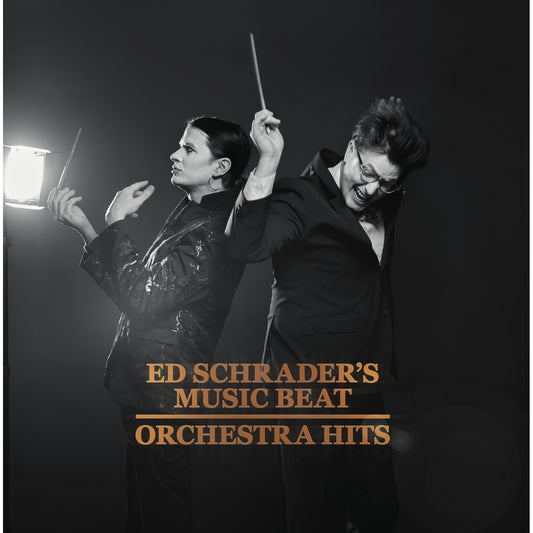 Ed Schraders Music Beat - Orchestra Hits [VINYL]