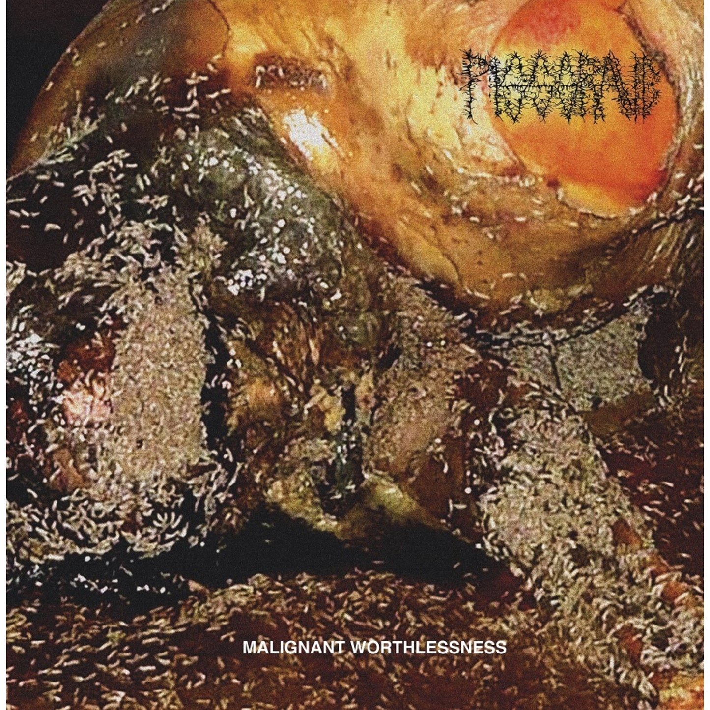 Pissgrave - Malignant Worthlessness [CD]