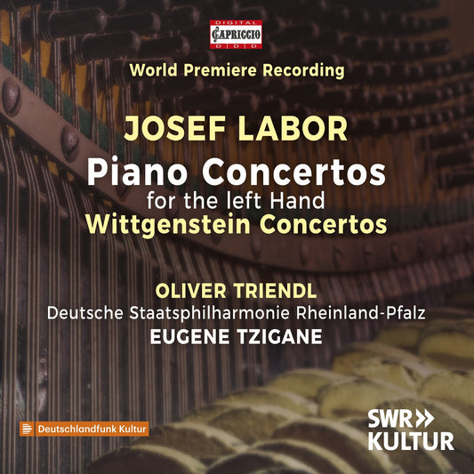 Triendl/deutsche Staats Phil - Labor - Piano Concertos For Lh [CD]