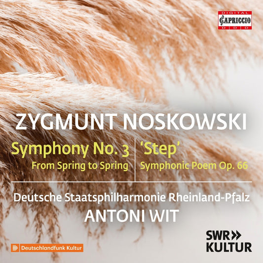 DEUTSCHE STAATSPHIL/WIT - NOSKOWSKI - SYMPH NO 3/STEP [CD]