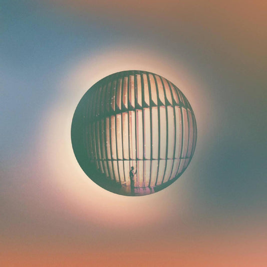 Daniel Ellsworth & The Great L - High Life [VINYL]