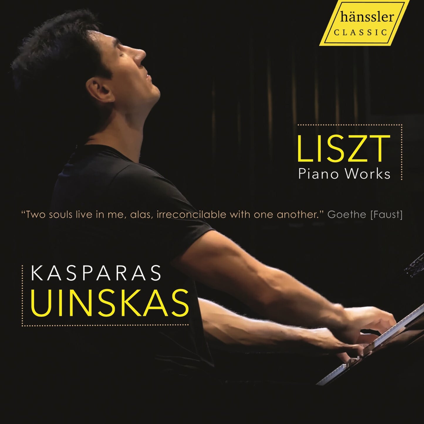 Kasparas Uinskas - Liszt - Piano Works [CD]