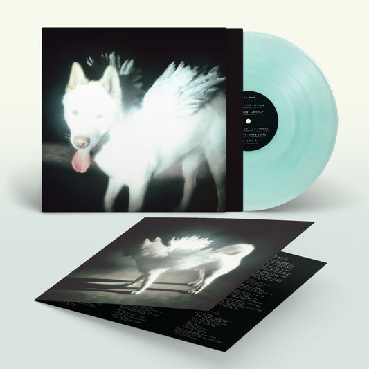 Vinyl record with album art featuring a winged, dog-like creature.