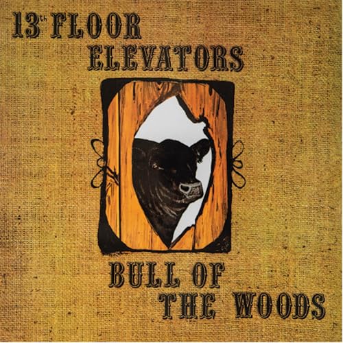 Album cover for 13th Floor Elevators, featuring a bull in a wooden frame.