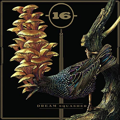 Vinyl album cover with bird and mushrooms on a black background.
