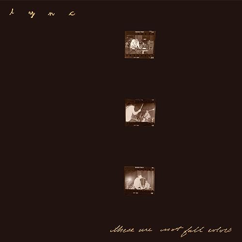 Lync - These Are Not Fall Colors [VINYL]