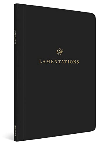 ESV Scripture Journal : Lamentations (Paperback)