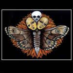 Moth with human faces and a skull, dark background.