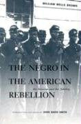 Negro In American Rebellion: His Heroism &amp; His Fidelity