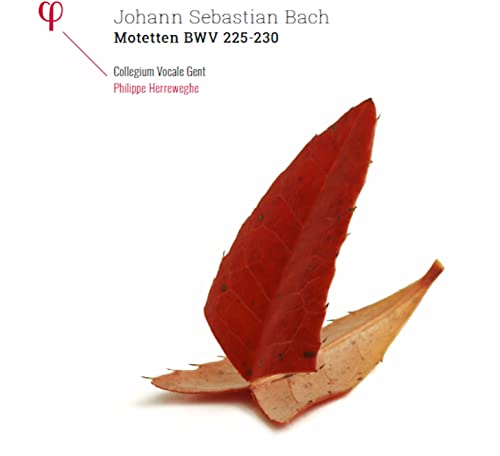 Album cover featuring two red autumn leaves on a white background with text.