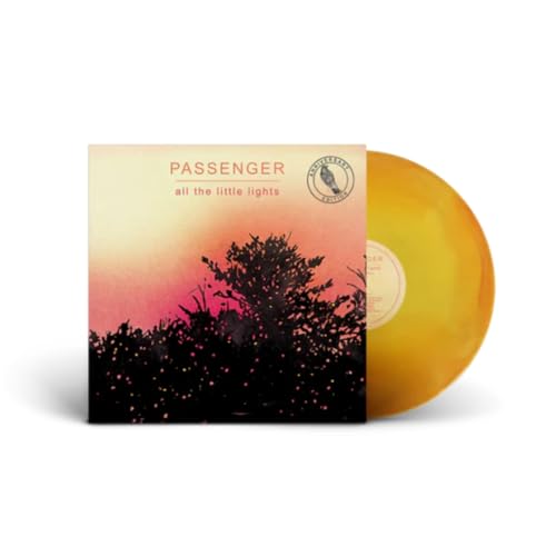 Passenger - All The Little Lights (Anniversary Edition) [VINYL]