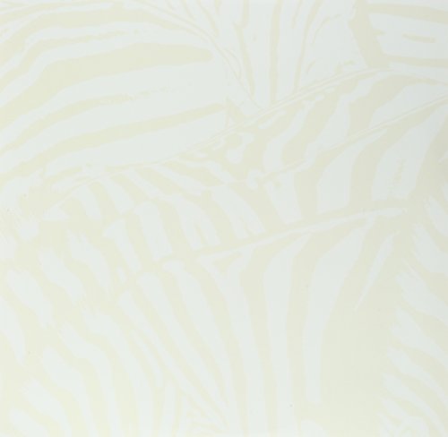 Close-up of a vinyl record sleeve with a pale, swirling zebra pattern.