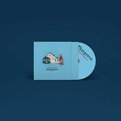 Pinegrove - Amperland, Ny [VINYL]