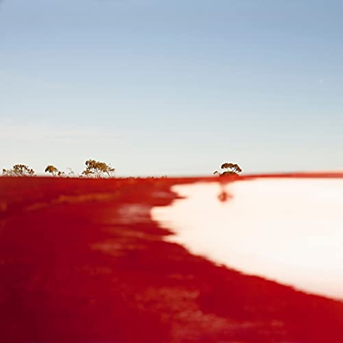 Peter Knight & Australian Art Orchestra - Crossed & Recrossed [VINYL]