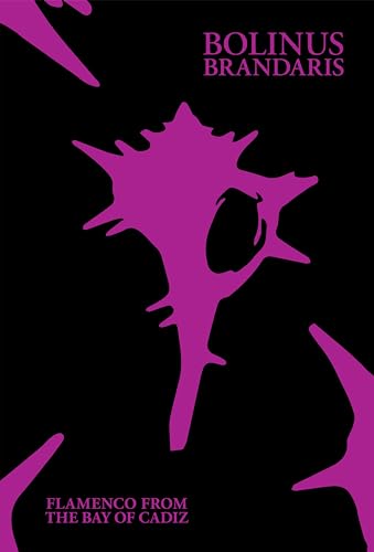 Various - Bolinus Brandaris: Flamenco from the Bay of Cadiz [plus hardback book]
