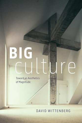 Big Culture : Toward an Aesthetics of Magnitude