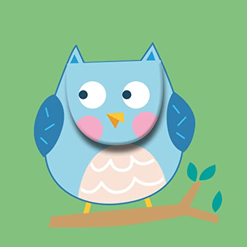 SOFT PEEKABOO BEDTIME BOOK OWL