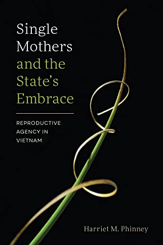 Book cover: “Single Mothers and the State’s Embrace” with green plant tendrils.