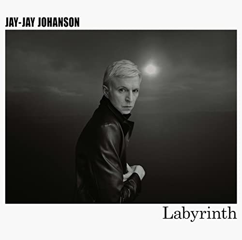 Black and white album cover featuring Jay-Jay Johanson with a dark sky backdrop.