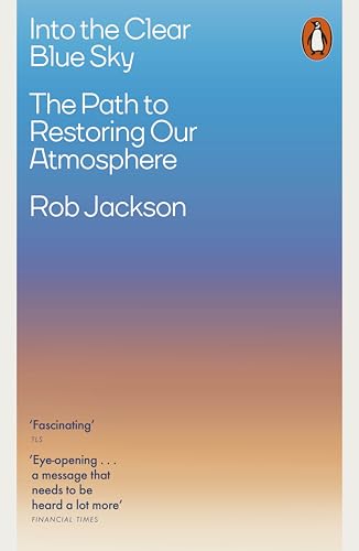 Into the Clear Blue Sky : The Path to Restoring Our Atmosphere