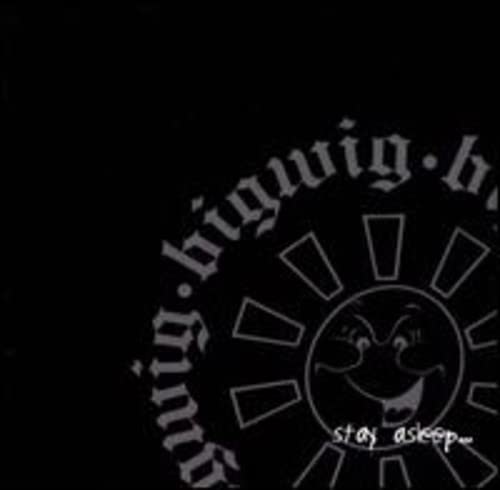 Bigwig - Stay Asleep [VINYL]