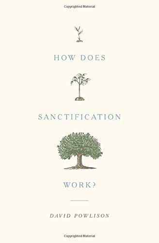 How Does Sanctification Work?