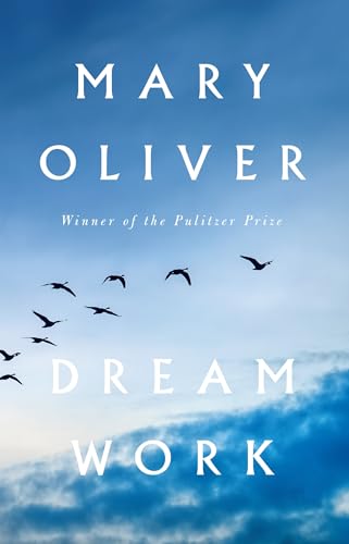 Book cover with title and author name on a plain colored background likely.