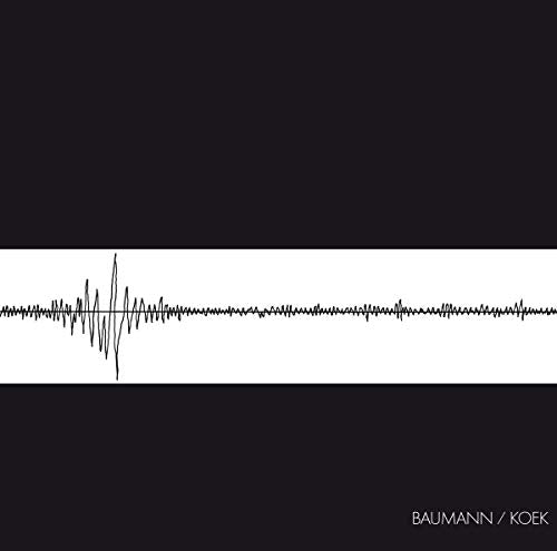 Various - Baumann / Koek [VINYL]