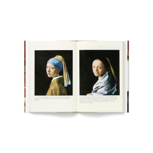 Vermeer : A Life Lost and Found