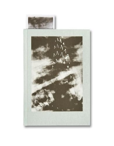 The Narcissistic City [notebook]
