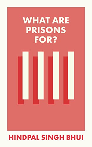 What Are Prisons For?