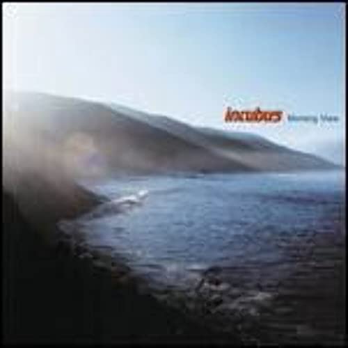 Various - Morning View (2Lp / 180G) [VINYL]