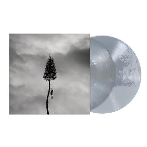 Manchester Orchestra - A Black Mile To The Surface [VINYL]