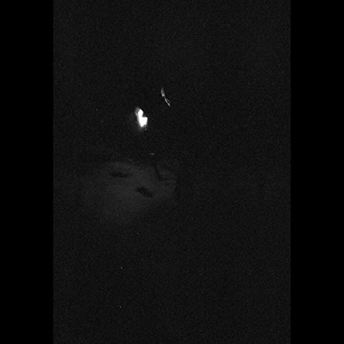 Dark, grainy image of a figure in a snowy, nighttime landscape.