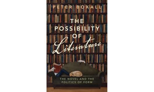 The Possibility of Literature : The Novel and the Politics of Form
