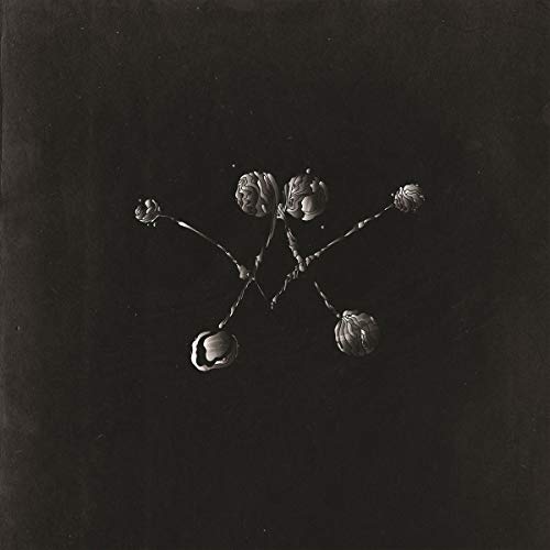 Waterstrider - Nowhere Now [VINYL]