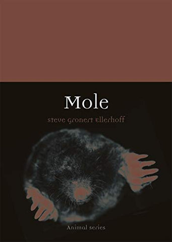 Mole (Animal)