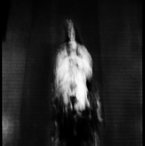 Cigno - Morte E Pianto Rituale (black Vinyl) [VINYL]
