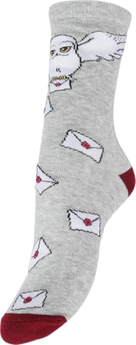 Harry Potter - Hogwarts Letter ( Unisex Grey Single Pack Socks) Small/Medium