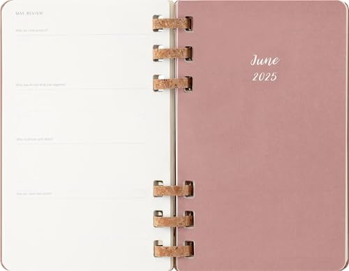 Moleskine 2025 12-Month Large Hardcover Spiral Planner: Almond