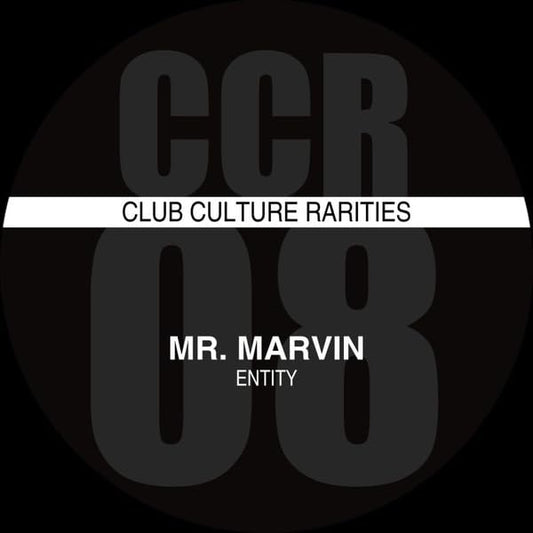 Black vinyl record cover with white and gray text: “Mr. Marvin - Entity”.