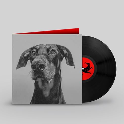 Big Special - Postindustrial Hometown Blues [VINYL]