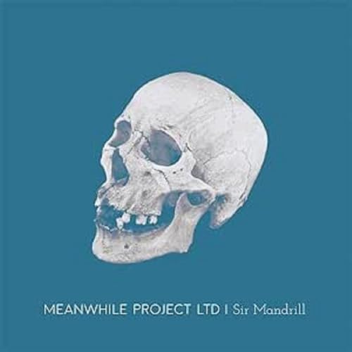 Meanwhile Project Ltd - Sir Mandrill [VINYL]