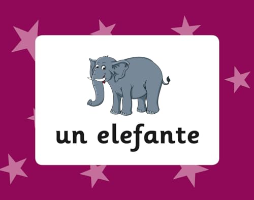 Spanish Vocabulary Flashcards for Ages 9-11 (with Free Online Audio)
