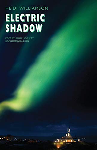 Electric Shadow