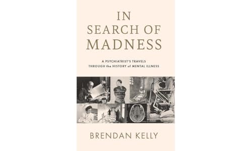 In Search of Madness : A psychiatrist’s travels through the history of mental illness