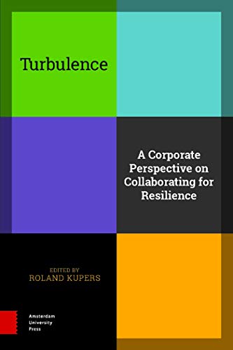 Turbulence : A Corporate Perspective on Collaborating for Resilience